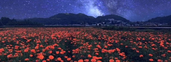 ÐÅÏ¢Çå¾²ÐèҪƽ¾²µÄʵÁ¦.png ÐÅÏ¢Çå¾²ÐèҪƽ¾²µÄʵÁ¦.png