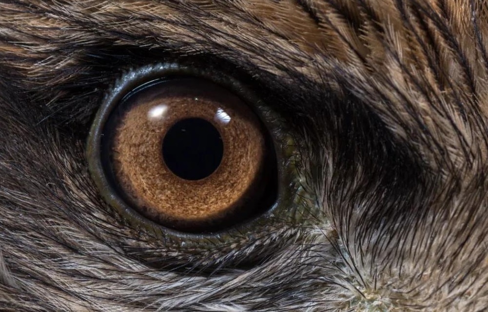 ������ʱ��(�й���)�������ǲ�!